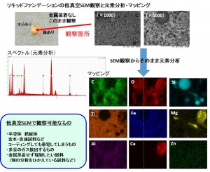 低真空SEMによる化粧品の観察・元素分析 | 株式会社アイテス