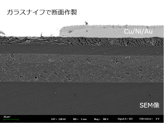 ガラスナイフで断面作製SEM像