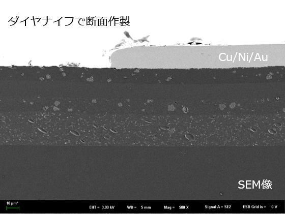 ダイヤナイフで断面作製SEM像