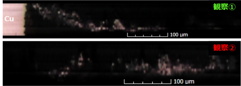 構築した3D像を元に任意の箇所での観察が可能です。