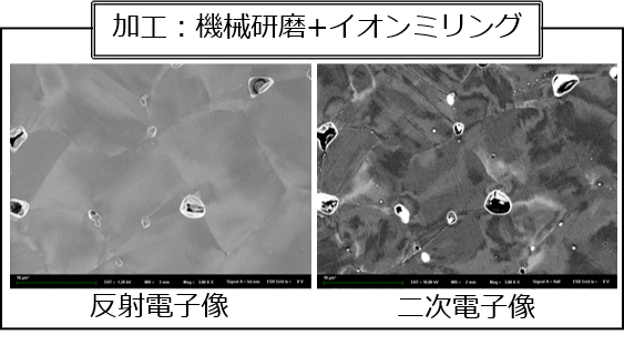 加工：機械研磨+イオンミリング